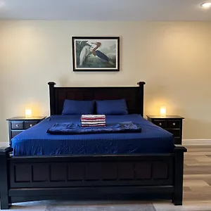 River Palace , Tampa United States